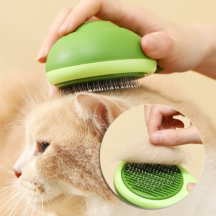 Pet Grooming & Care